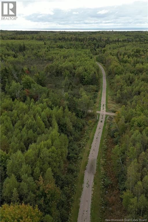100 HUNTER LANE, New Brunswick — photo 4