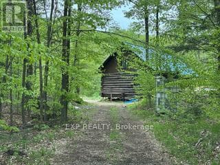 1703 MATAWATCHAN ROAD N, Renfrew County — photo 4