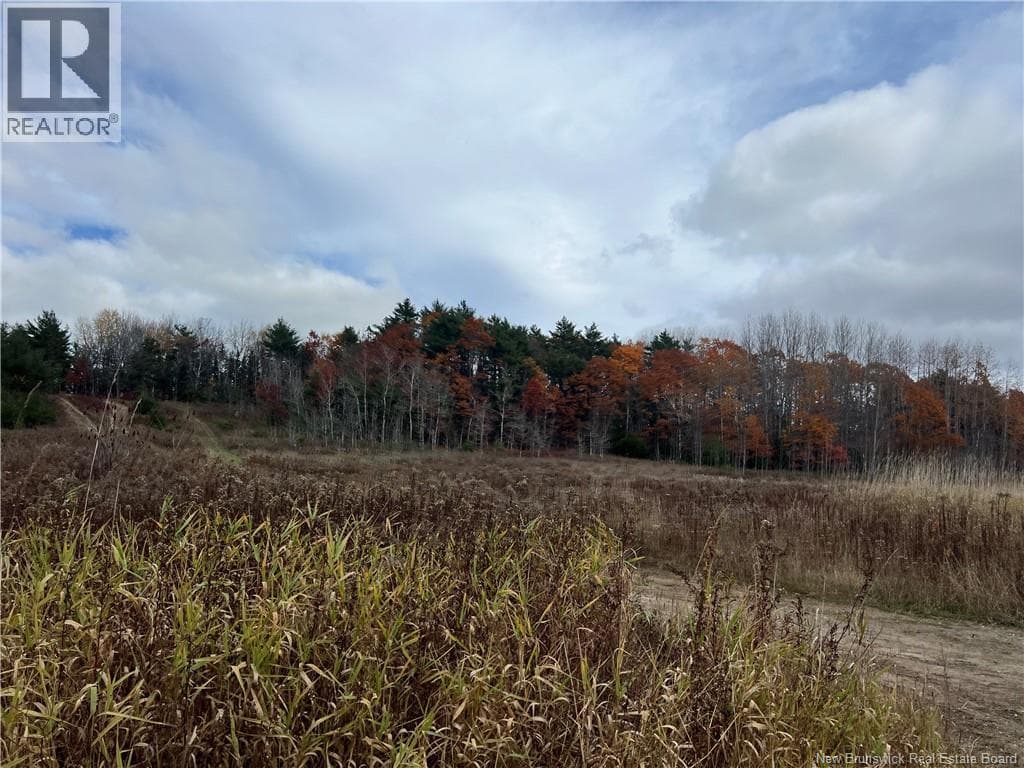 01 Hall Road, New Brunswick — photo 4