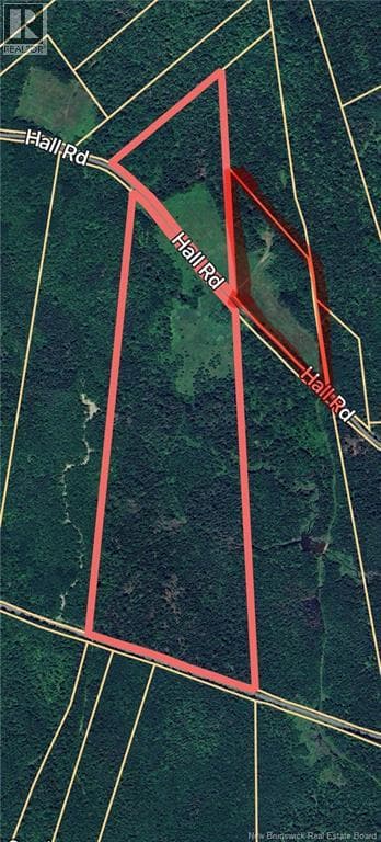 01 Hall Road, New Brunswick — photo 2