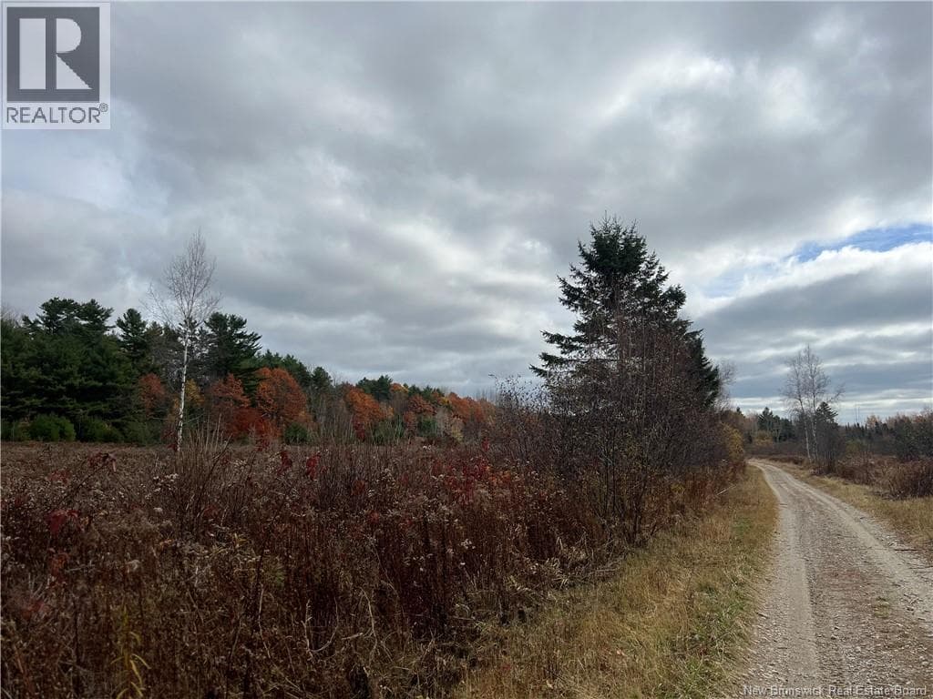 01 Hall Road, New Brunswick — photo 3