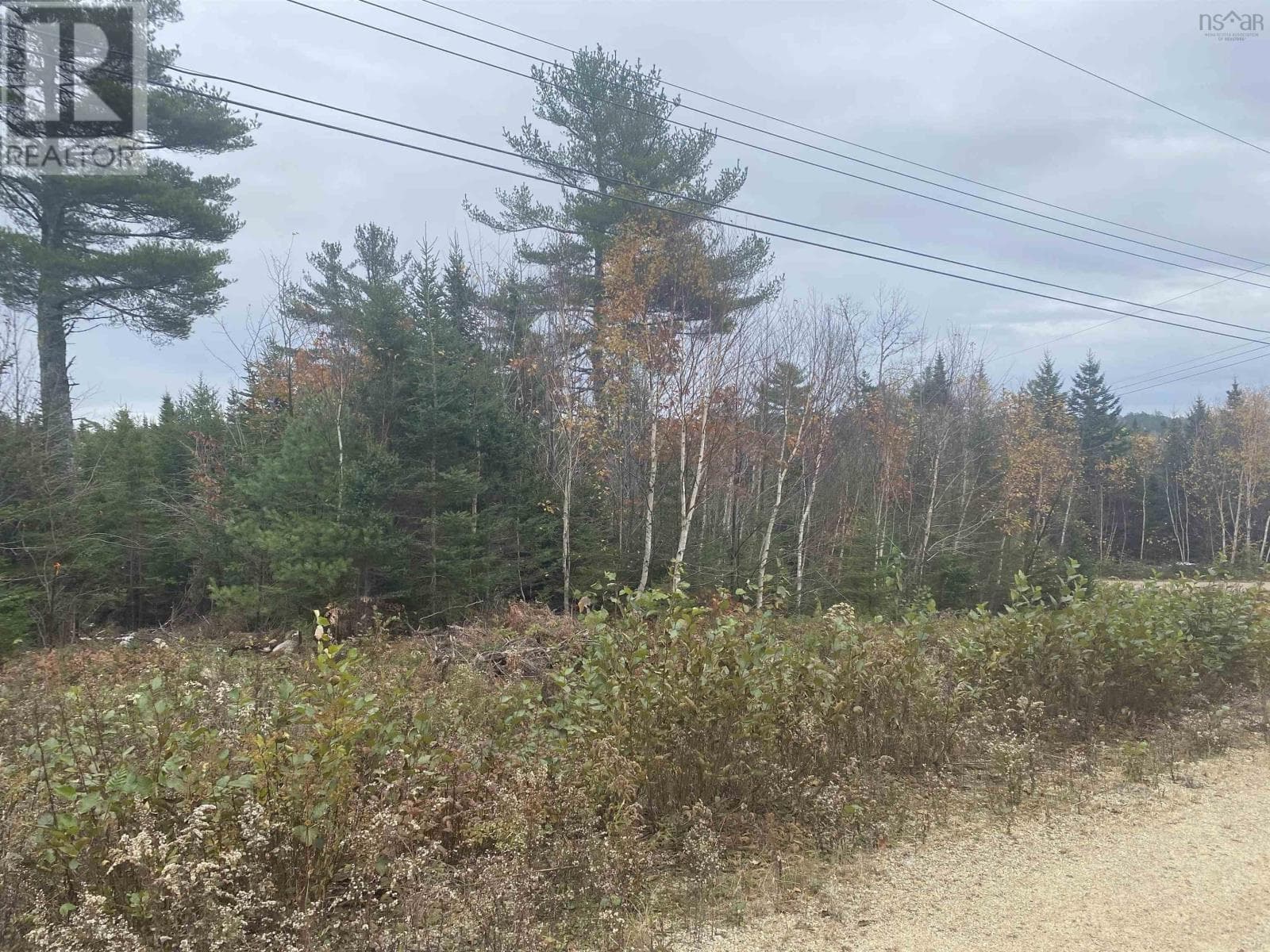 Lot 20 Noonan Lake Lane in 