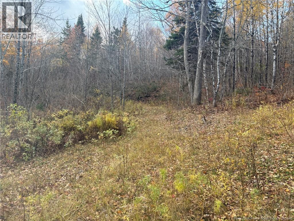 449 Harriet O'Ree Road, New Brunswick — photo 4