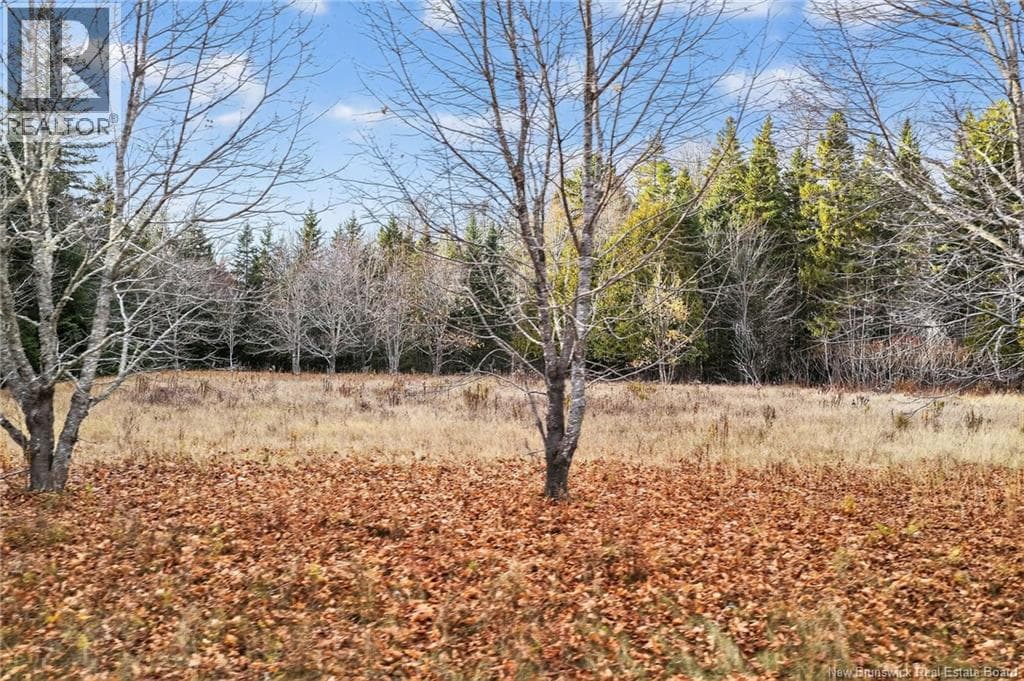 Lot Kay Road, New Brunswick — photo 5