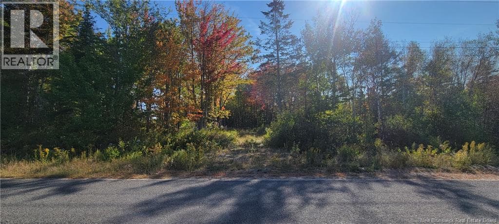 LOT Meadow Brook Road, New Brunswick — photo 5