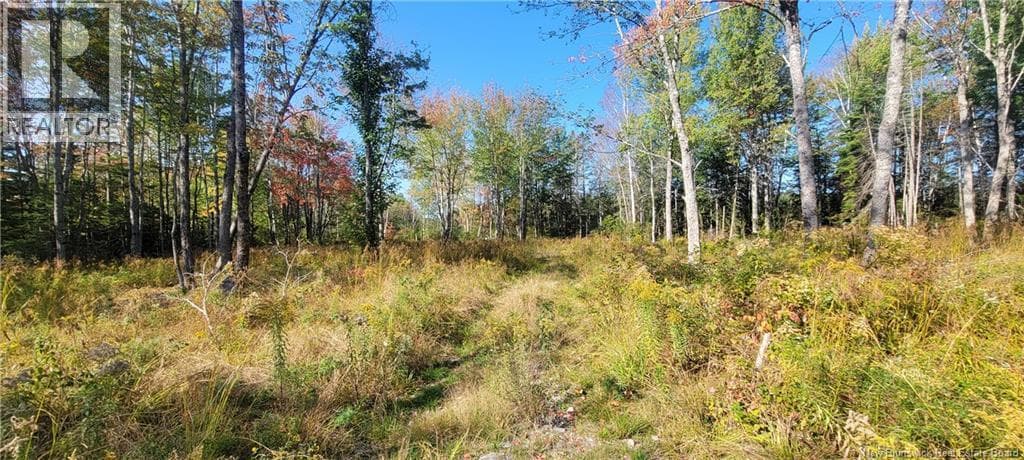 LOT Meadow Brook Road, New Brunswick — photo 3