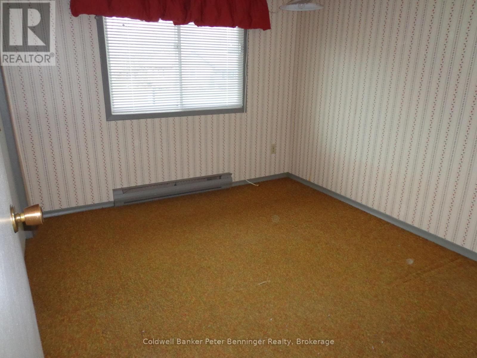 191 GEORGE STREET SOUTH — photo 5