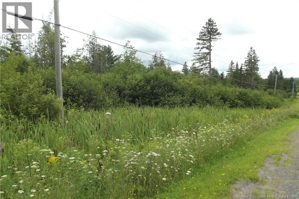 000 620 Route, New Brunswick — photo 2