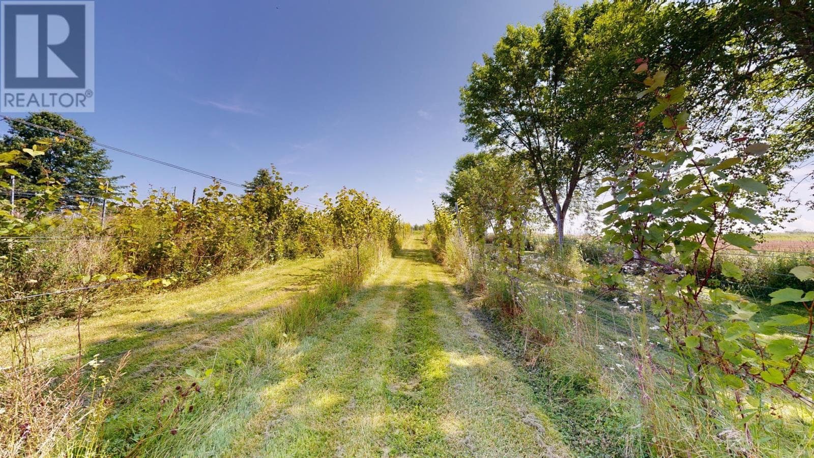 115 MAGEE ROAD, NSAR — photo 4