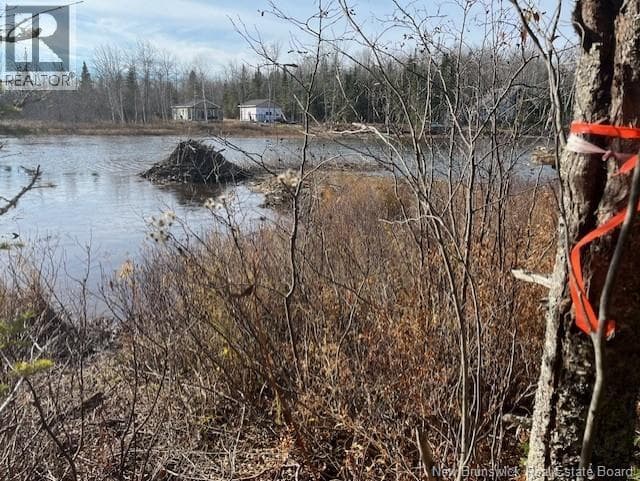 LOT 11-2 Hazen Lane, New Brunswick — photo 4