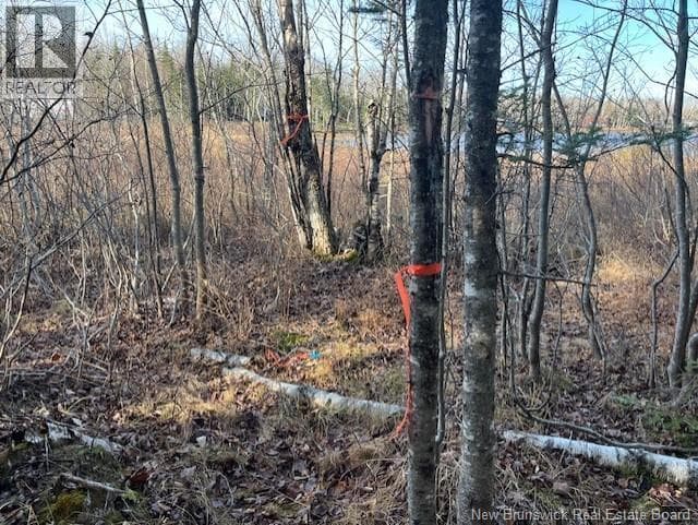 LOT 11-2 Hazen Lane, New Brunswick — photo 3