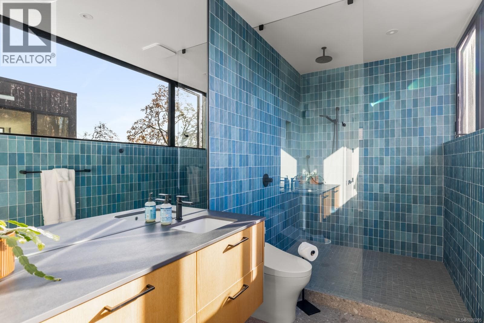 3025 JACKSON STREET, Victoria — photo 3