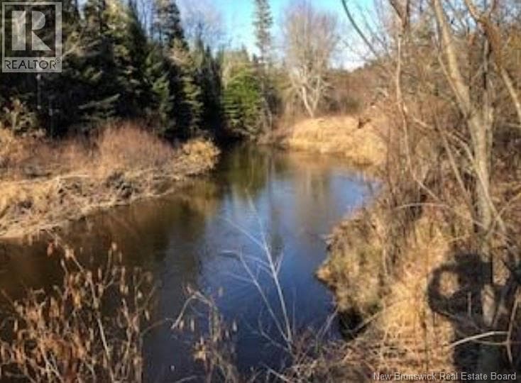 LOT 3227 route 495 in 