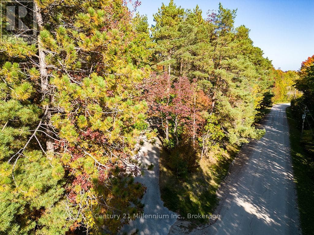 265797 25TH SIDE ROAD, OnePoint — photo 5
