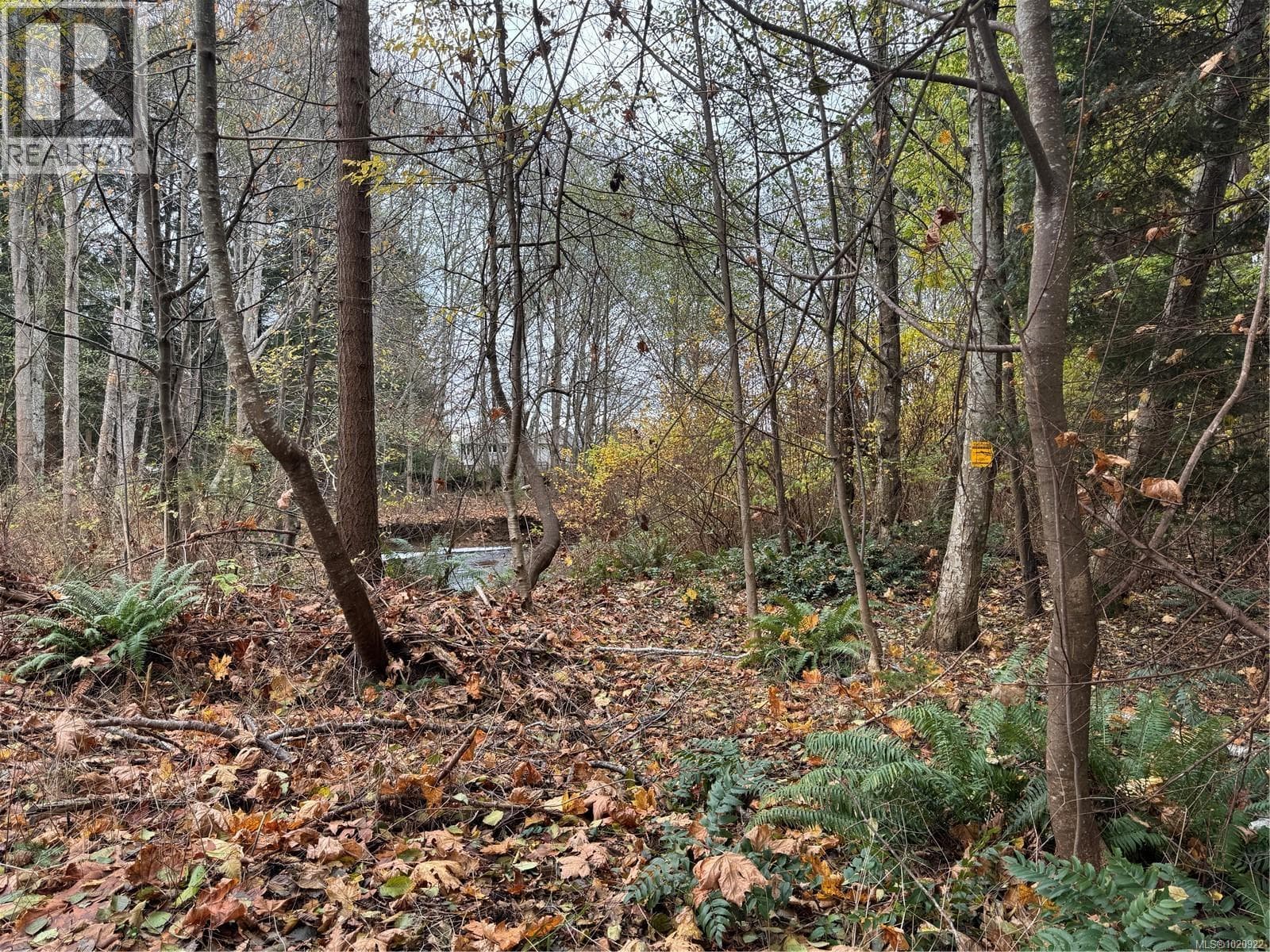 B 513 Erickson Rd — photo 5