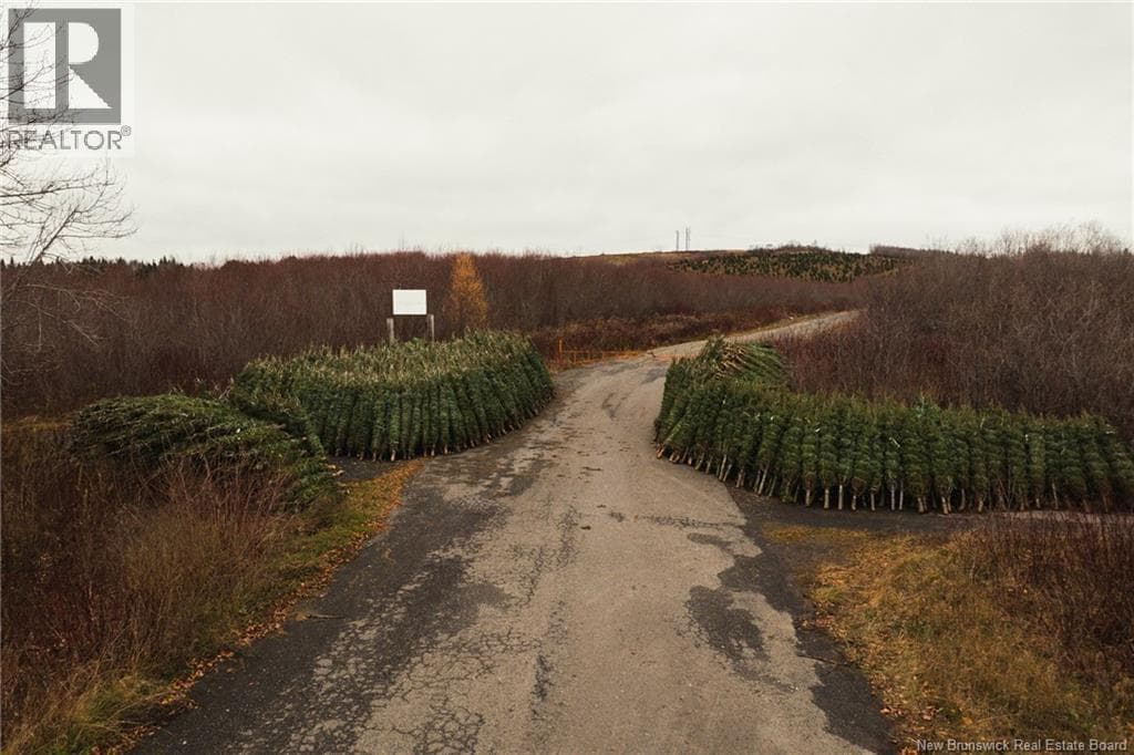 Lot Route 144 Road, New Brunswick — photo 2