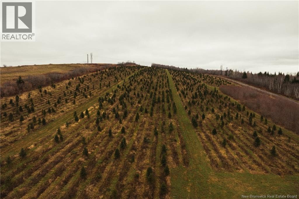 Lot Route 144 Road, New Brunswick — photo 3