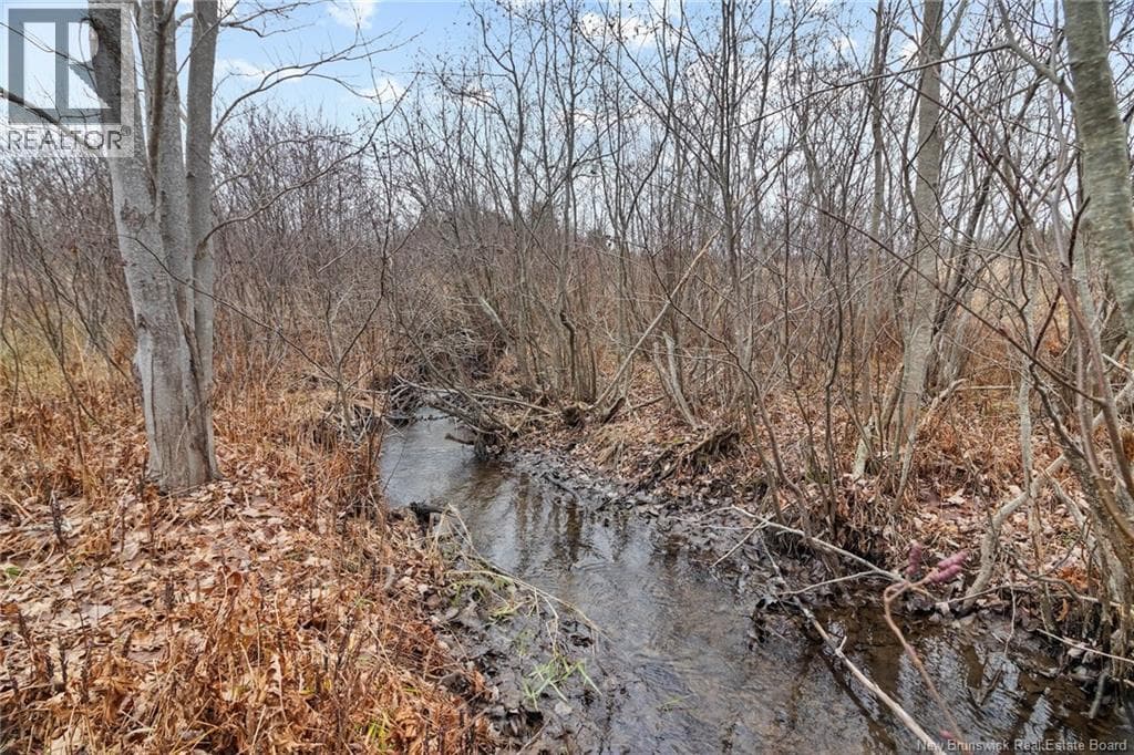 8353 ROUTE 10, New Brunswick — photo 3