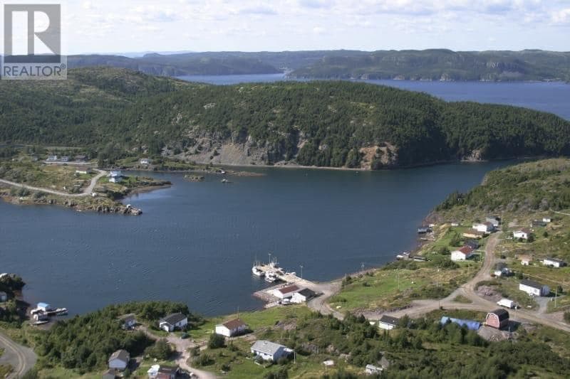 97 Main Road, Newfoundland & Labrador — photo 2