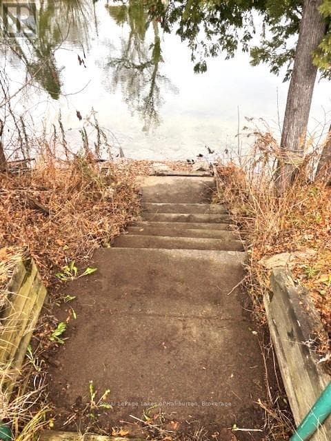 3 ANSON STREET — photo 3