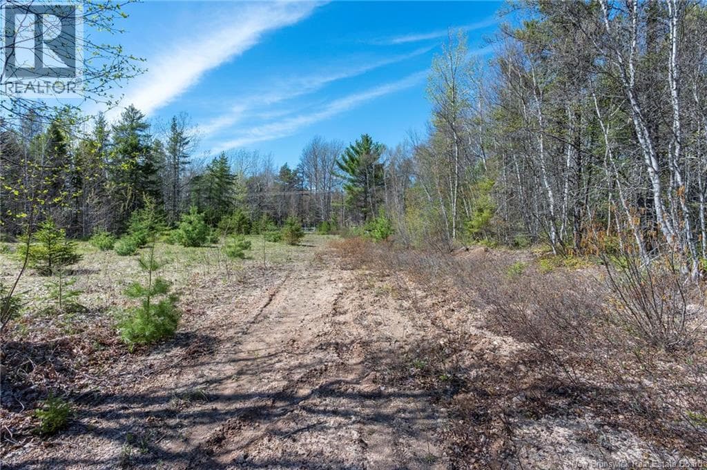 142 NIAGARA ROAD in 