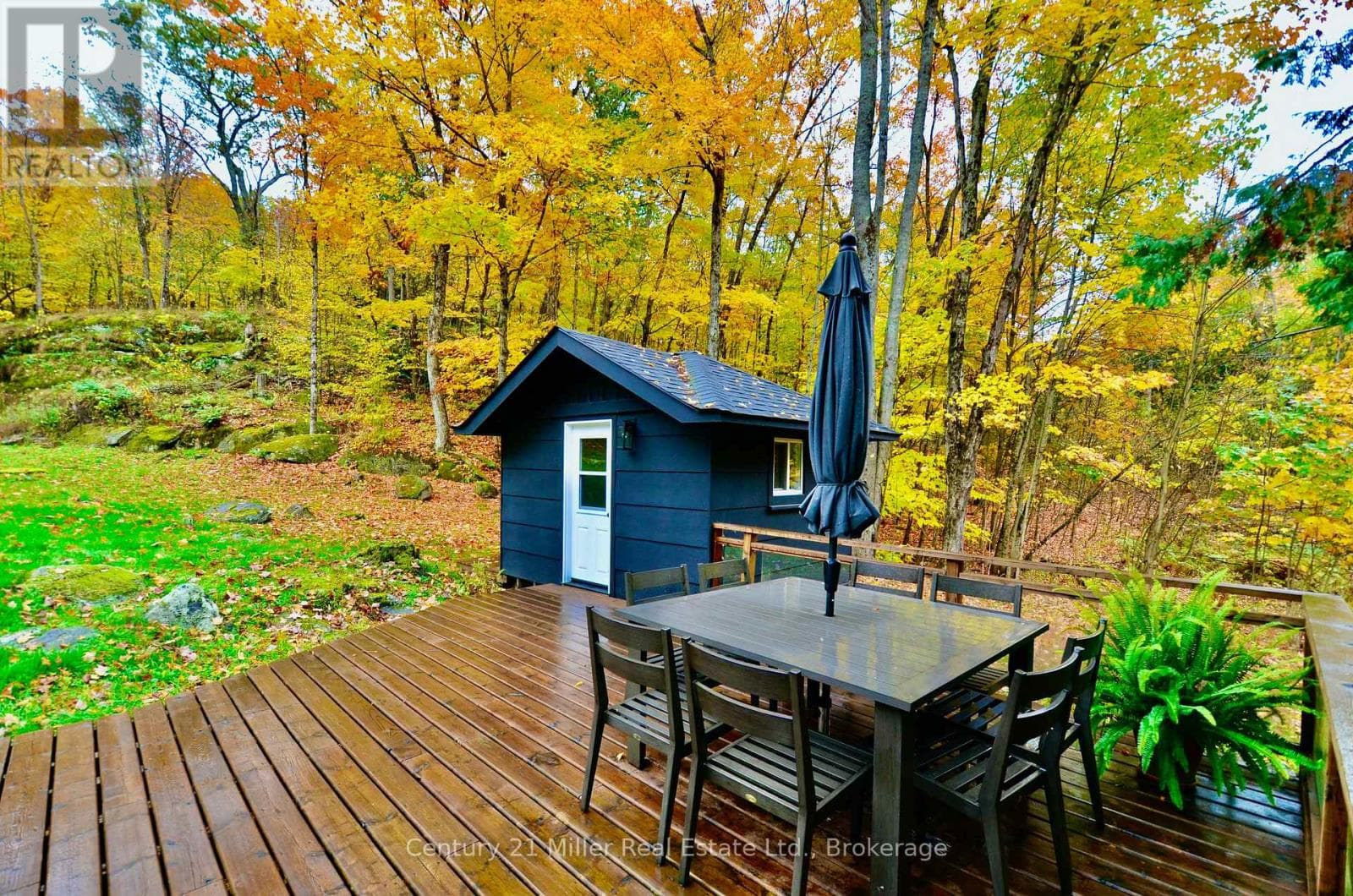 1279 CARLINGFORD ROAD — photo 4