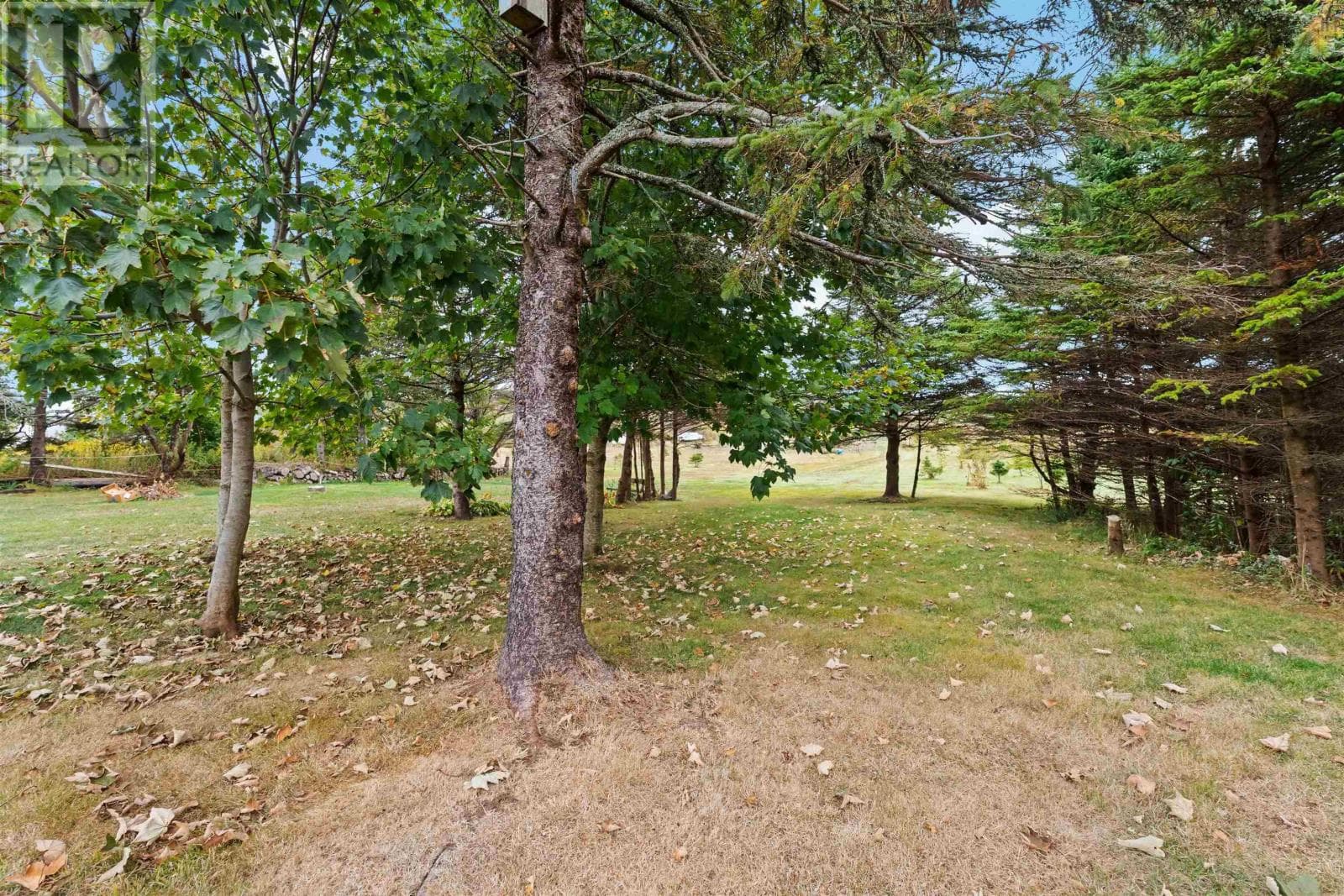 31 OVERCOVE ROAD, NSAR — photo 4