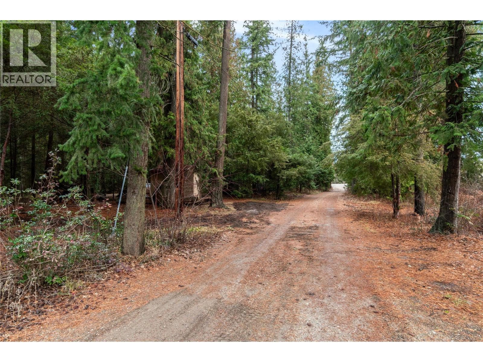 401 97A Highway, Interior REALTORS® — photo 5