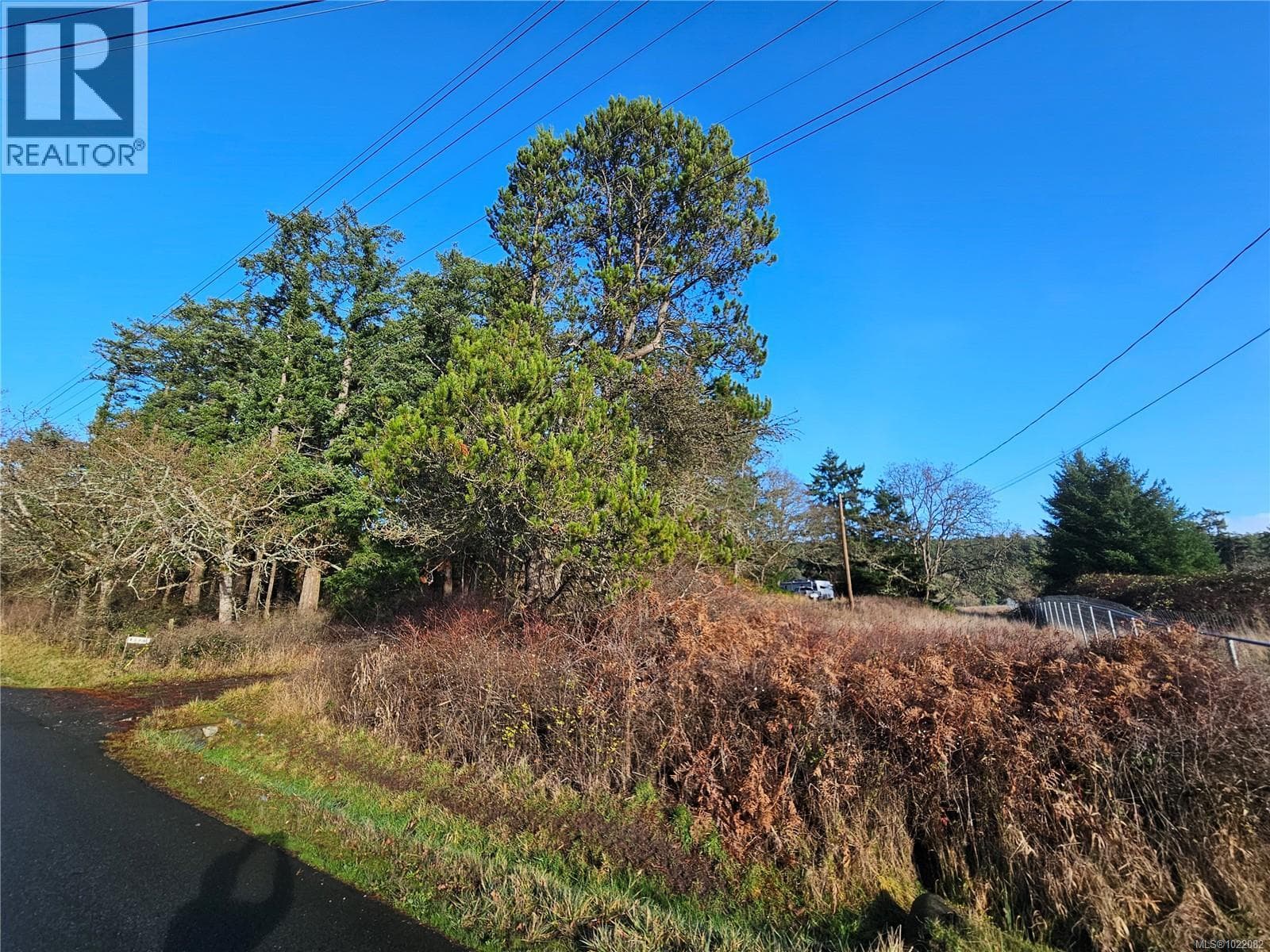 4299 BLENKINSOP ROAD in 