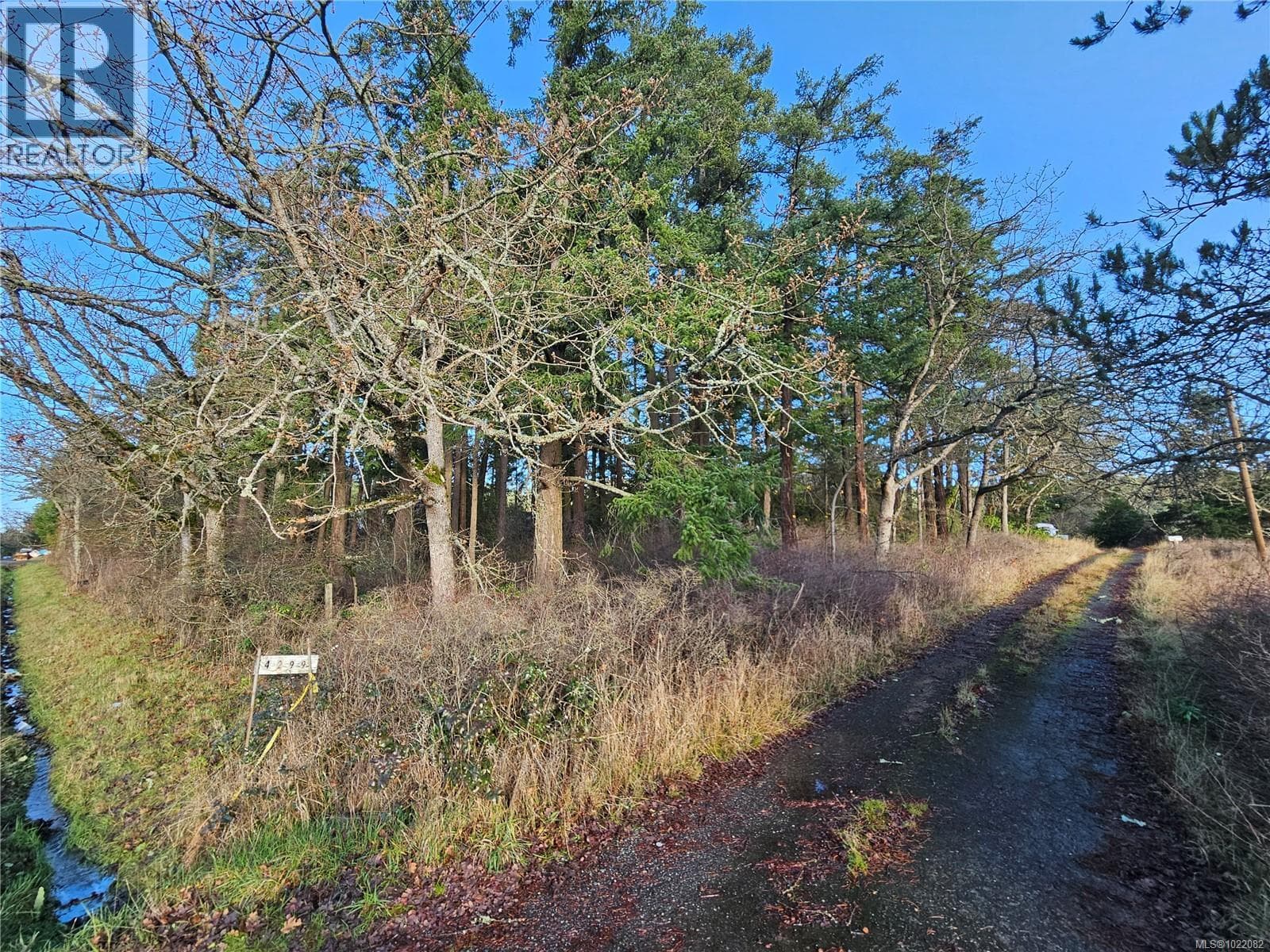 4299 BLENKINSOP ROAD in 