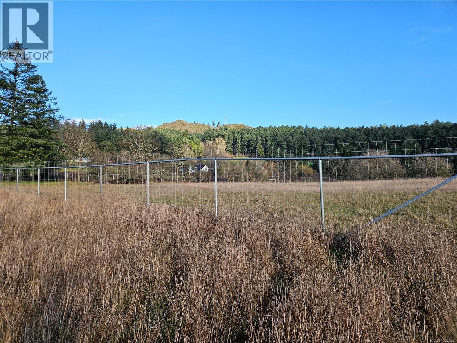 4299 BLENKINSOP ROAD, Victoria — photo 2