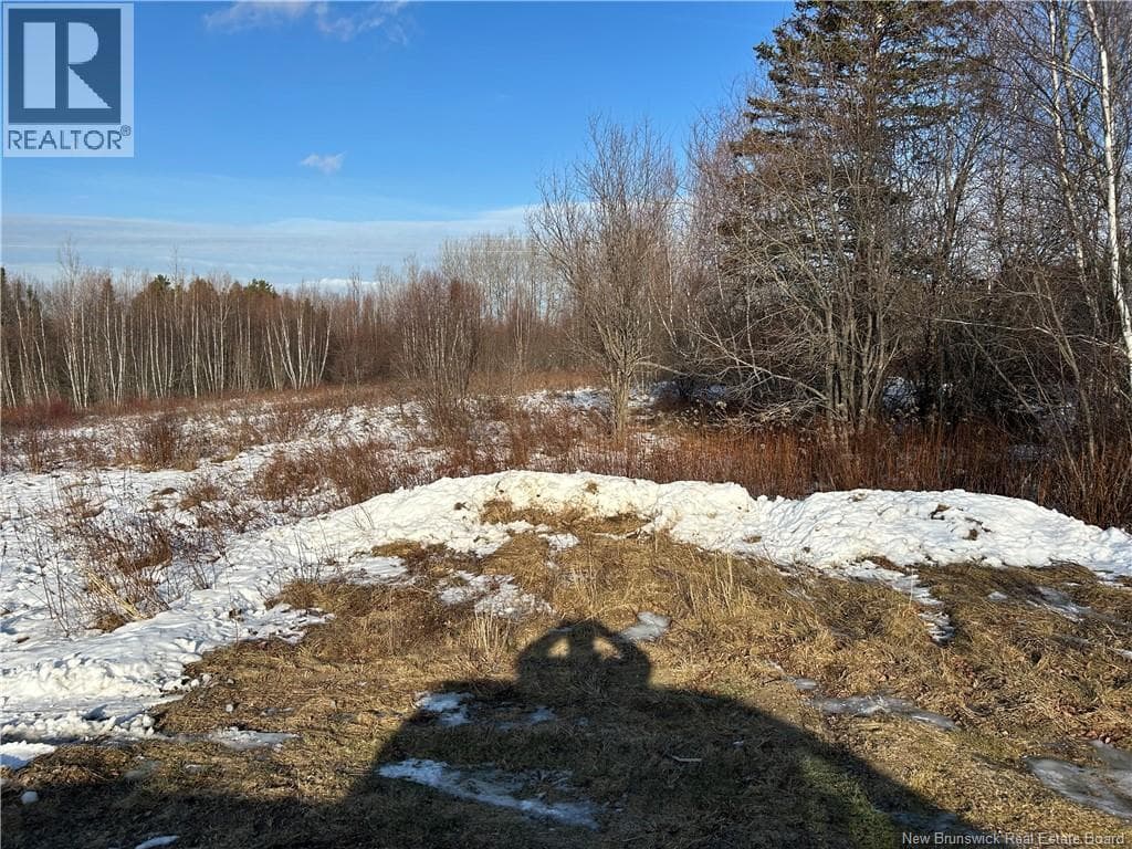O Resevoir Road, New Brunswick — photo 2