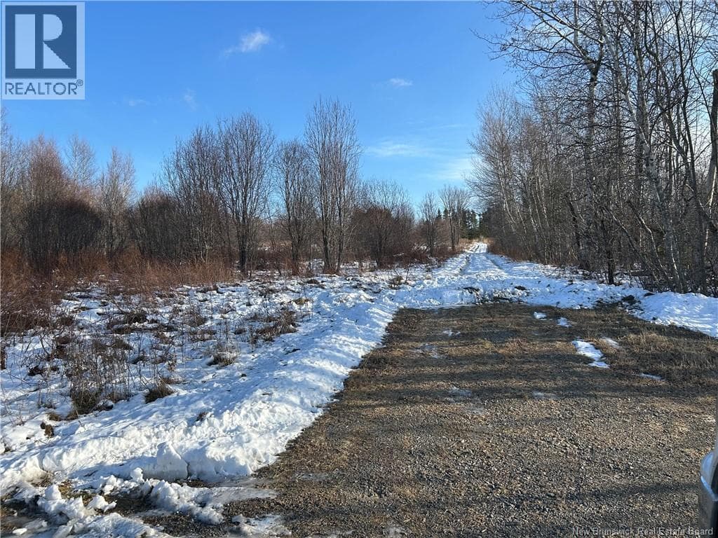 O Resevoir Road in 