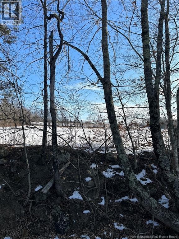 O Resevoir Road, New Brunswick — photo 4