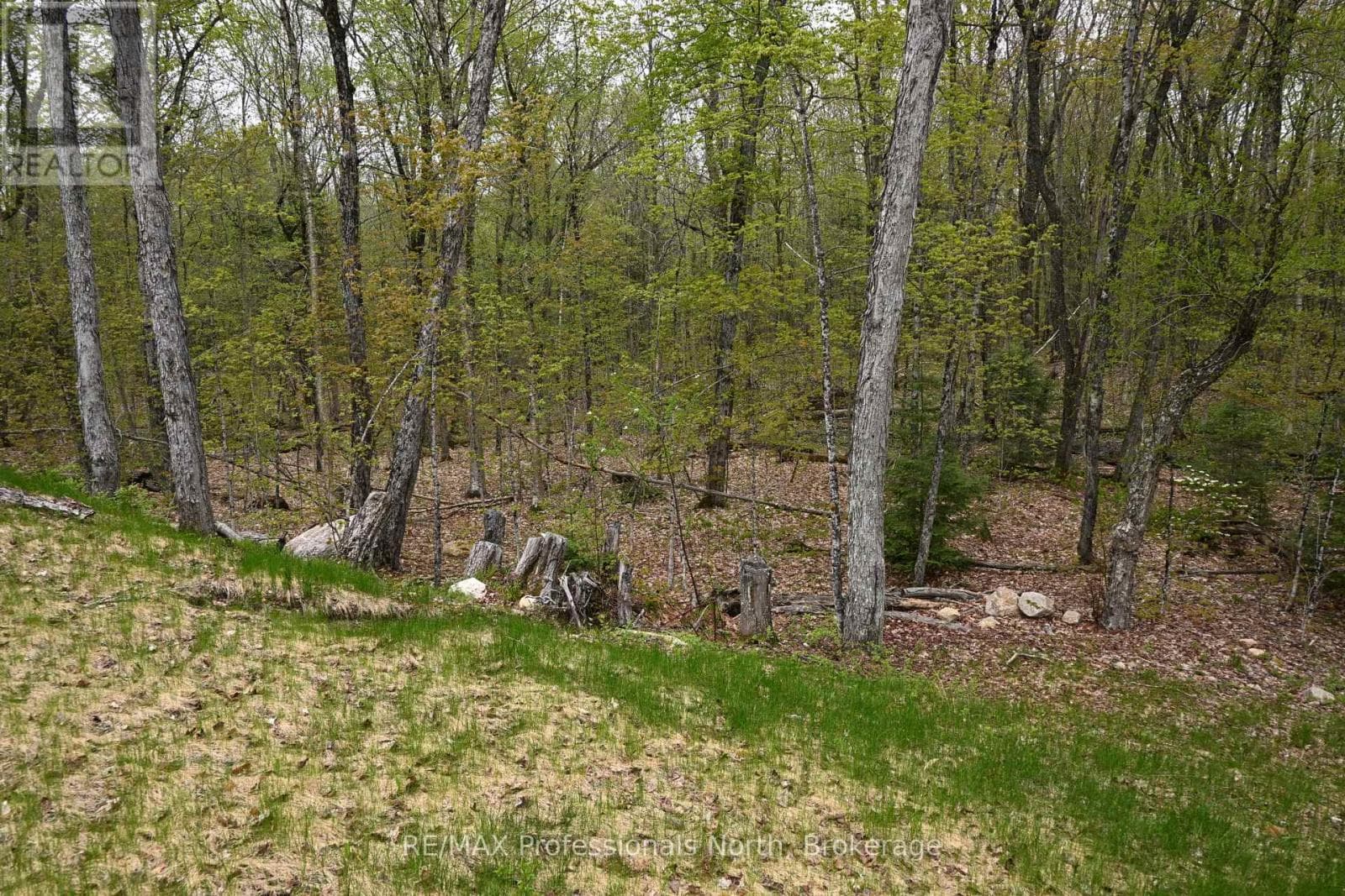 121 LOON LAKE ROAD, OnePoint — photo 3