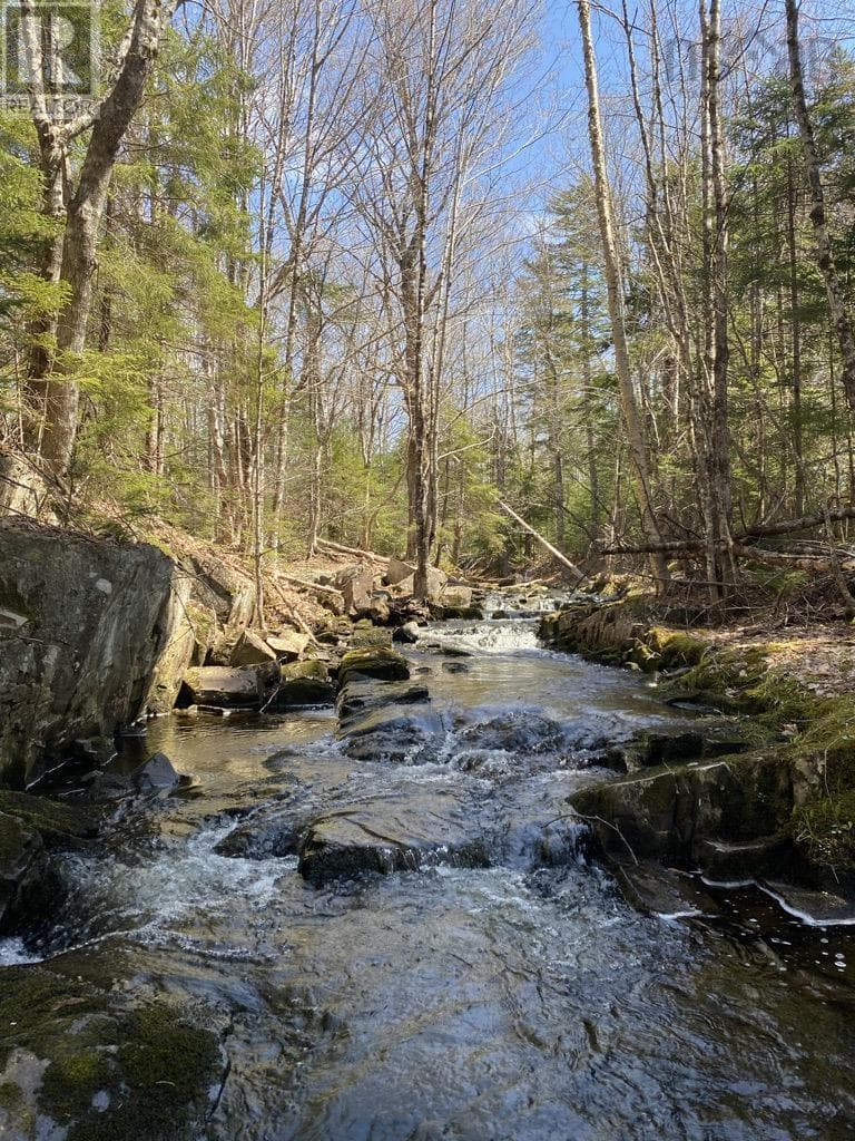 Acreage NO 101 Highway, NSAR — photo 4