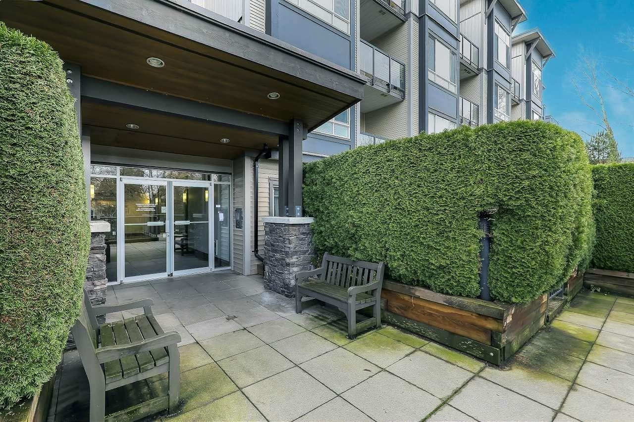 107 2943 NELSON PLACE — photo 5