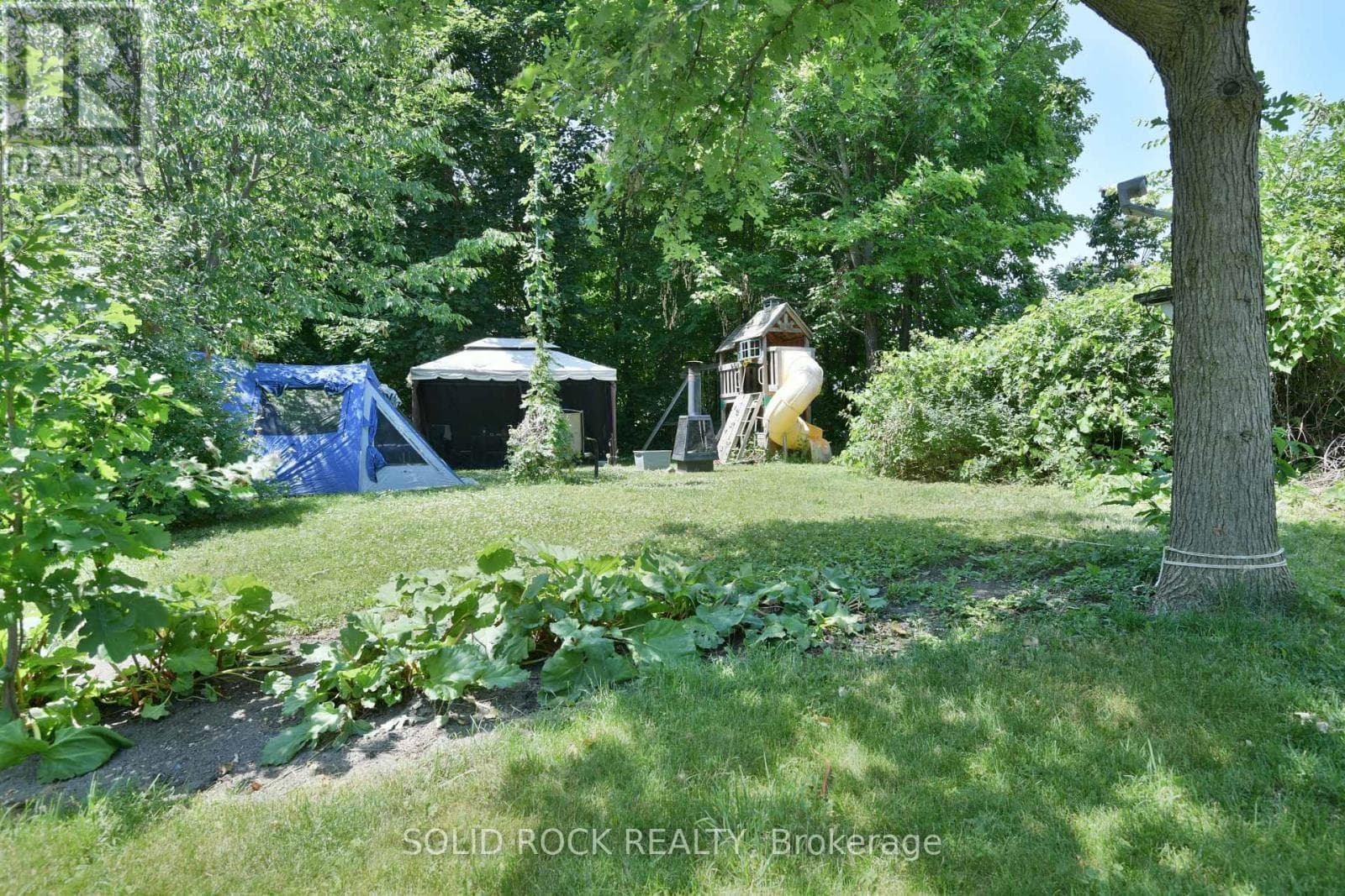 54 WILLIAM STREET W — photo 2