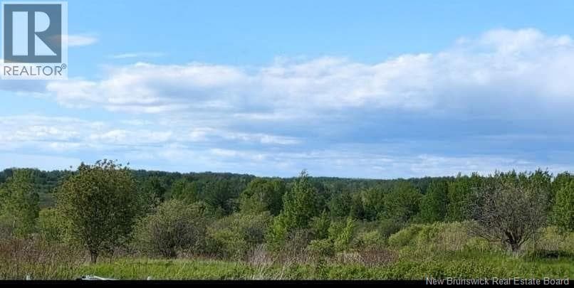 95.4 Acres Route 340, New Brunswick — photo 2
