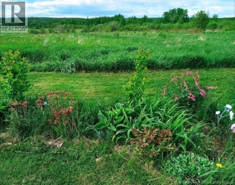 95.4 Acres Route 340, New Brunswick — photo 3