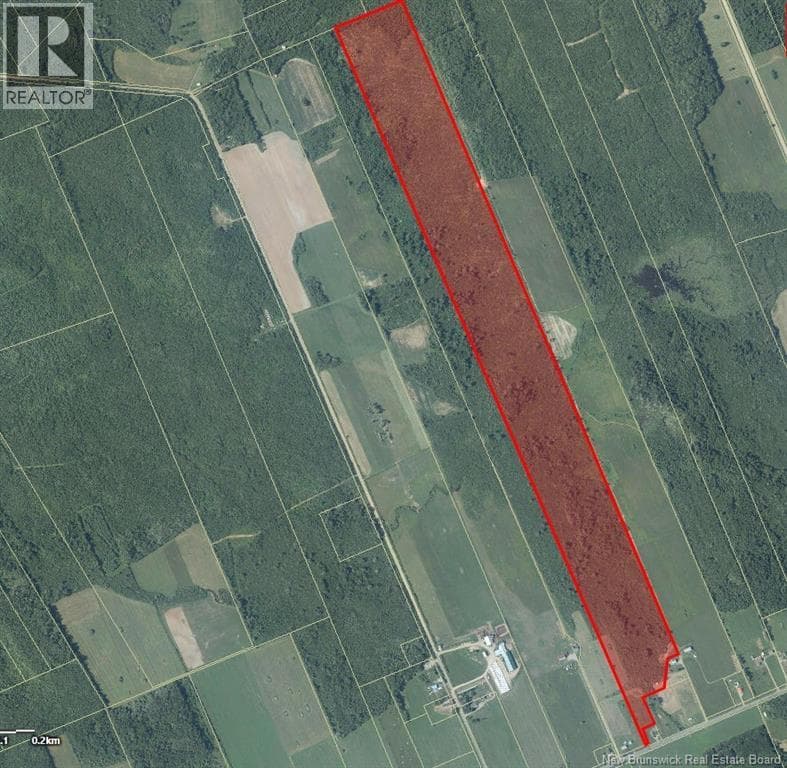 95.4 Acres Route 340, New Brunswick — photo 5