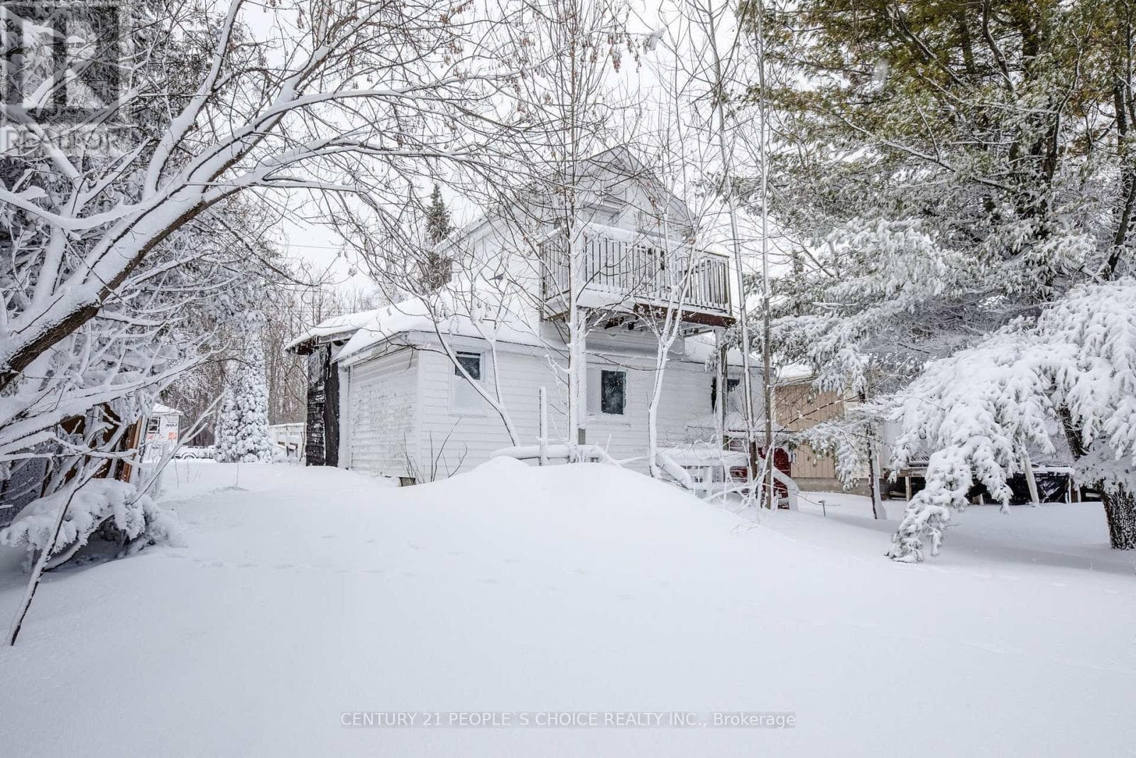 250 KINGFISHER AVENUE, Toronto — photo 2