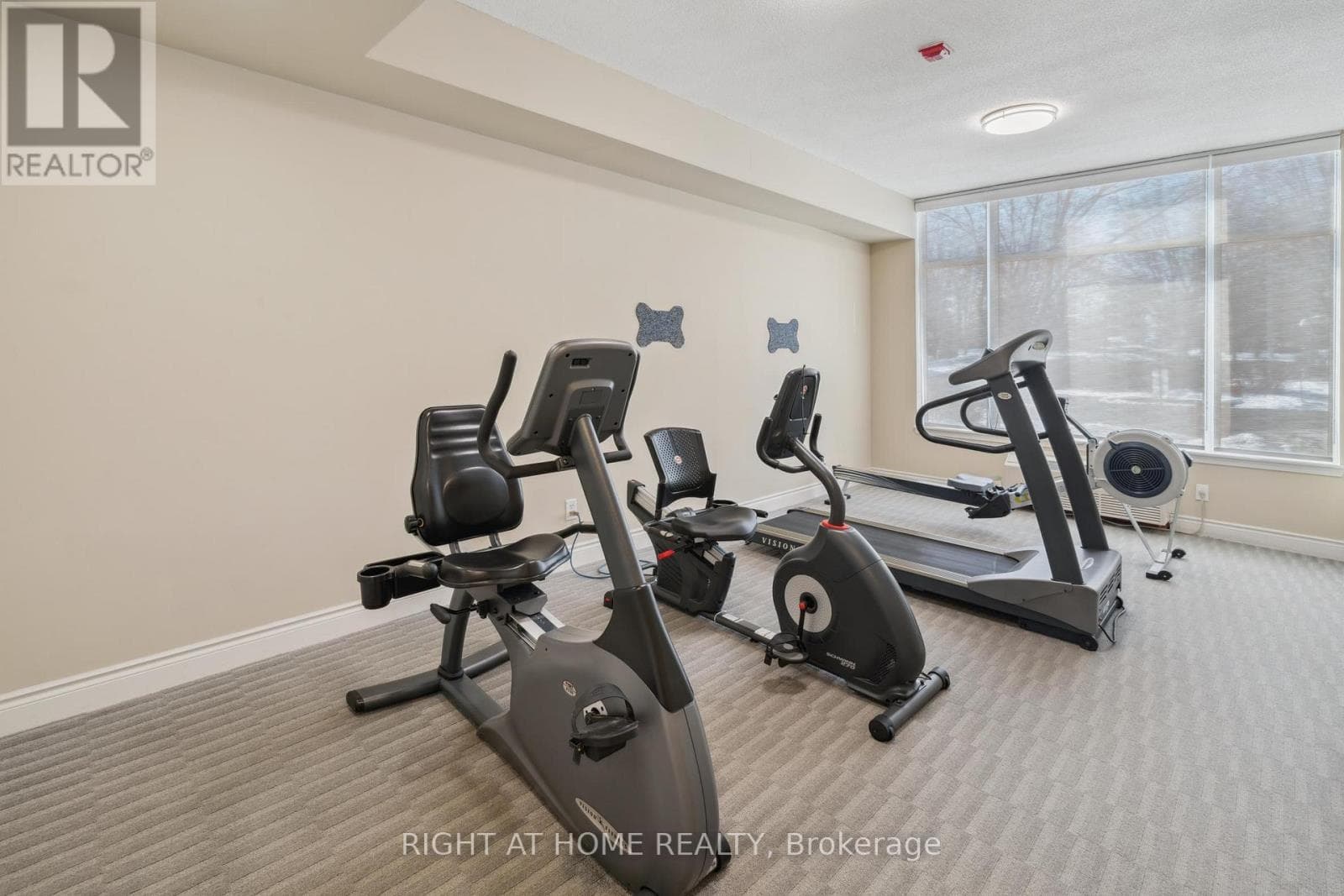 205 - 171 SHANLY STREET in 