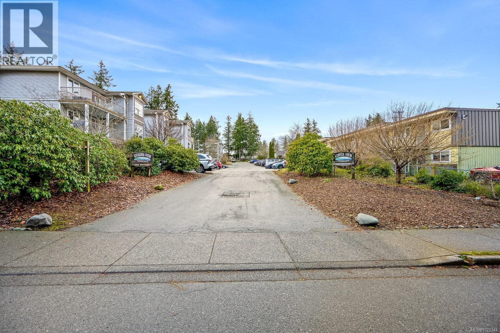 409 282 Birch St — photo 5