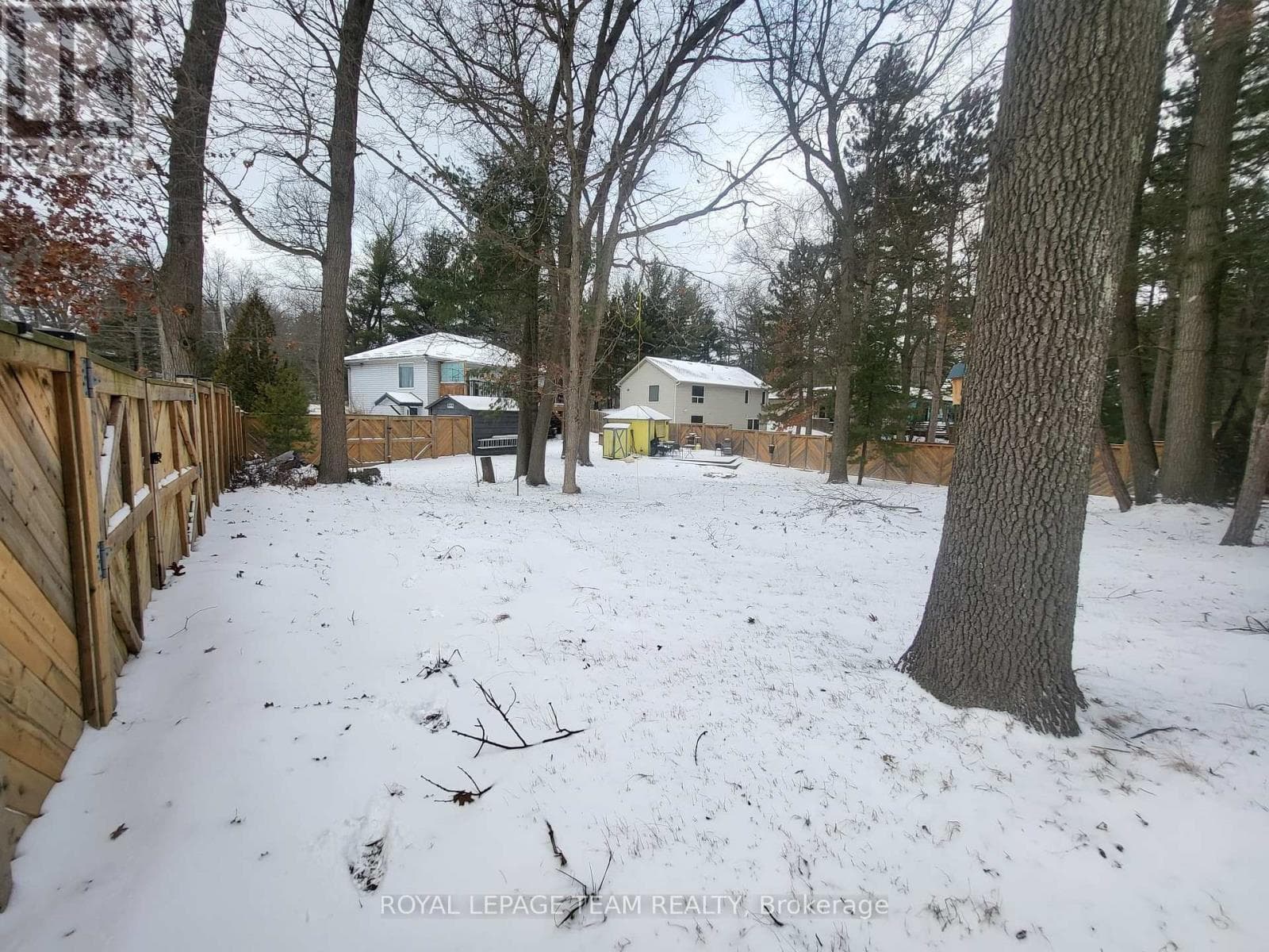 7706 ALFRED STREET — photo 4