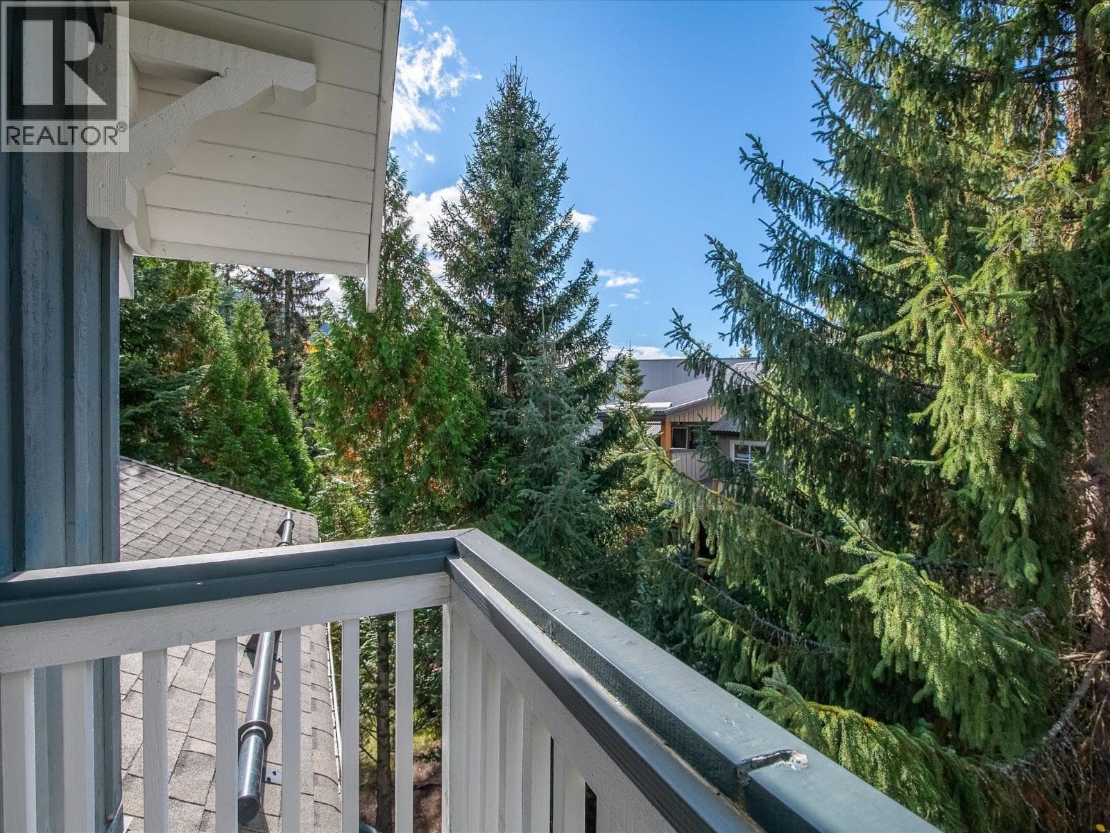 203 4405 BLACKCOMB WAY, Greater Vancouver — photo 2