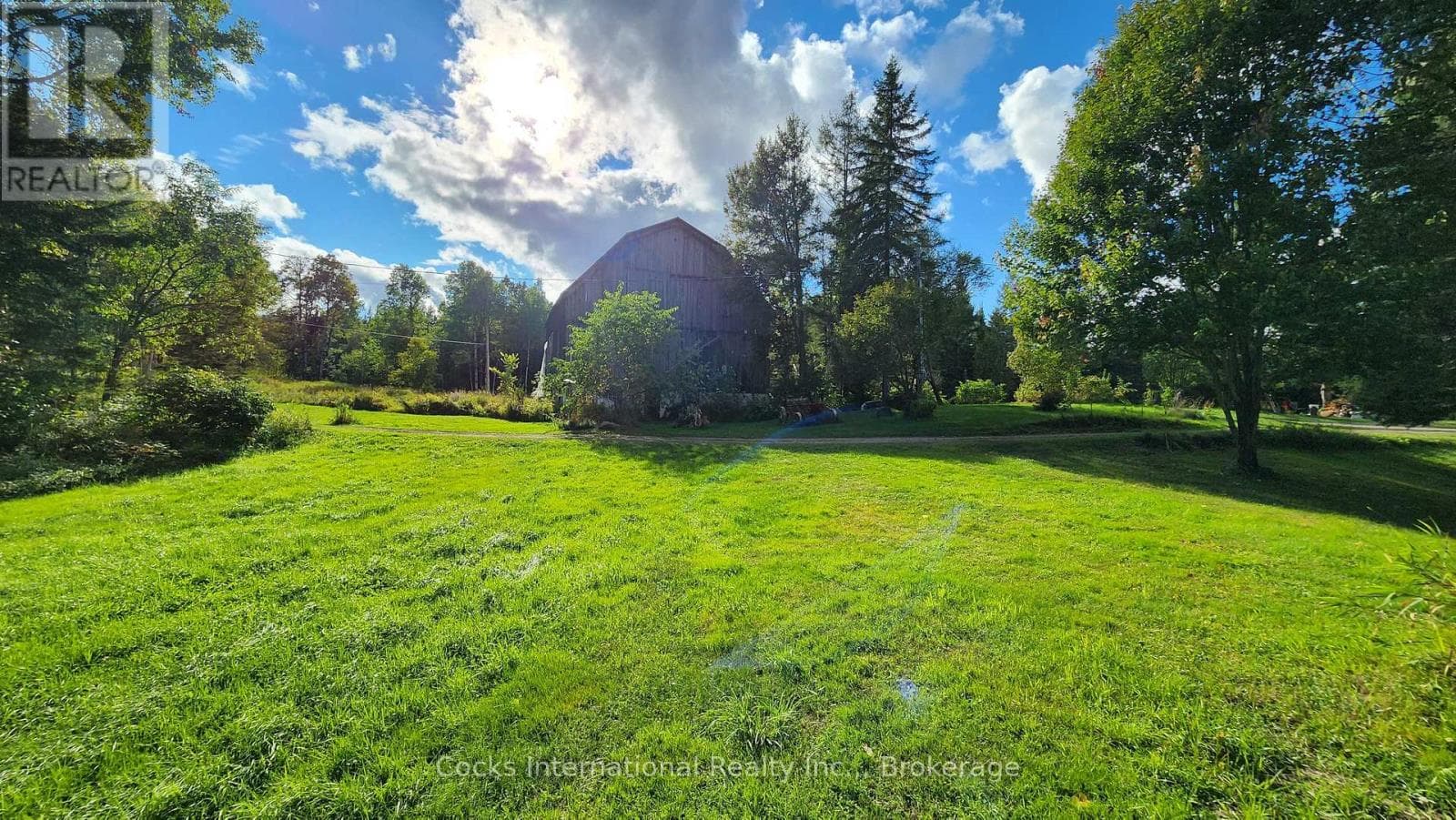 96 PICKEREL & JACK LAKE ROAD — photo 4