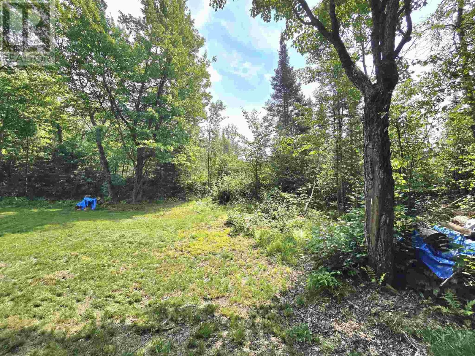 . Brady RD — photo 5