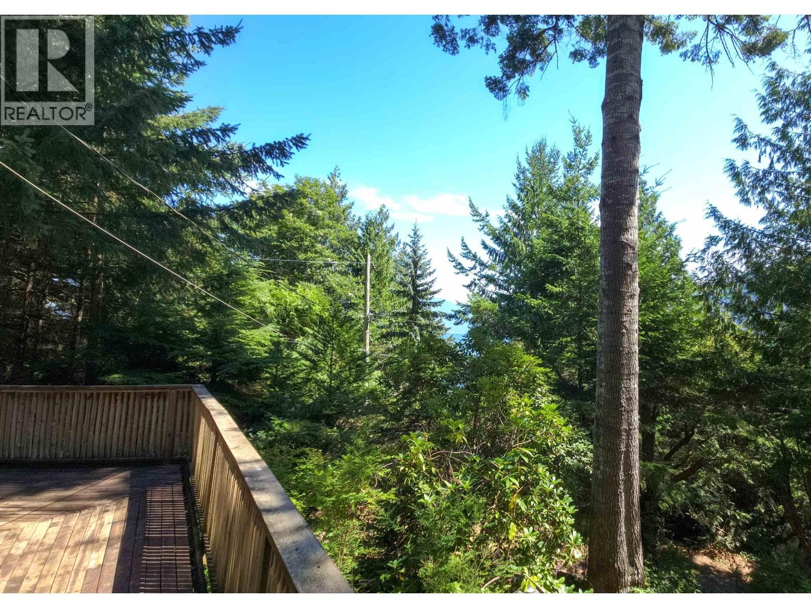427 COLLINGWOOD ROAD in 