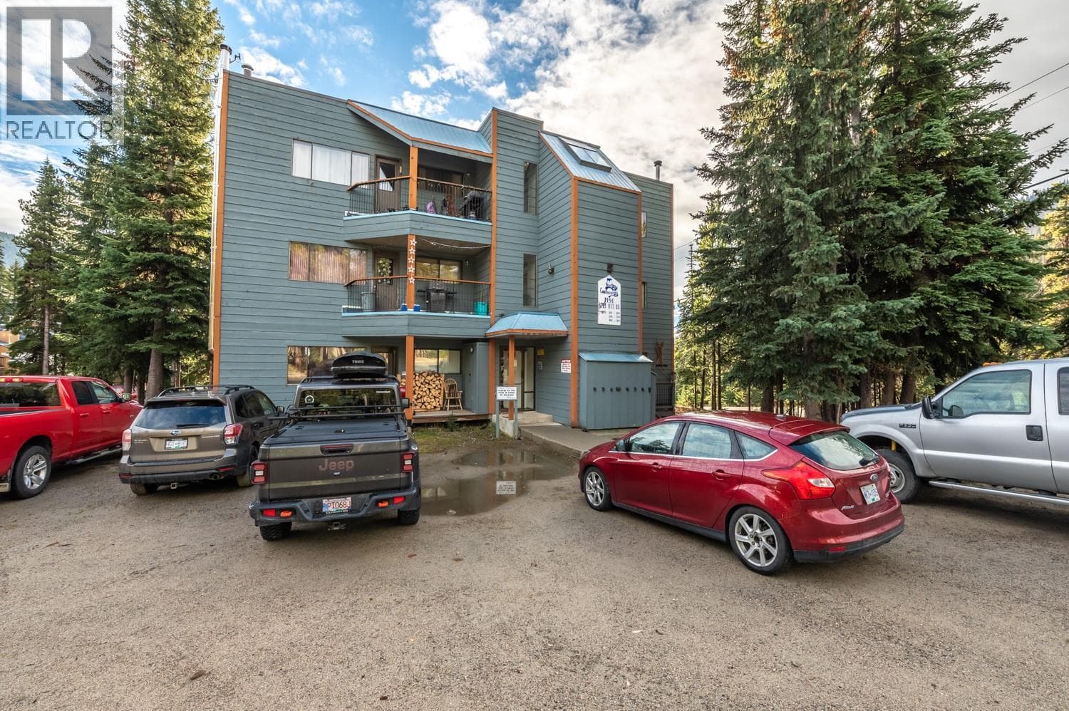 1191 APEX MOUNTAIN ROAD UNIT 305 in 